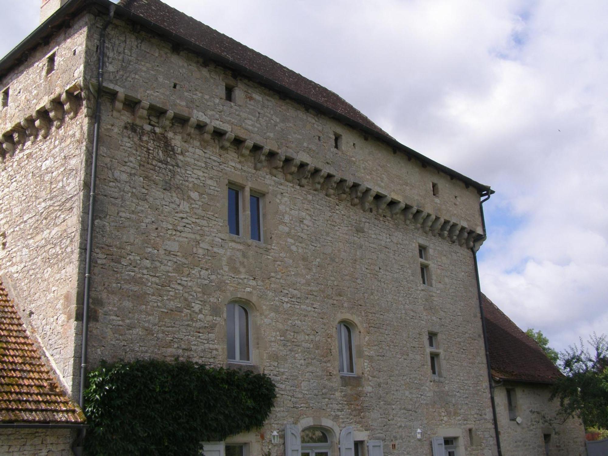 Chateau De Camboulan Bed and Breakfast Ambeyrac Exterior foto