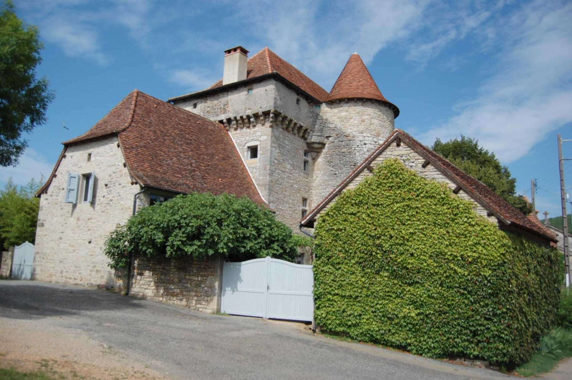 Chateau De Camboulan Bed and Breakfast Ambeyrac Exterior foto