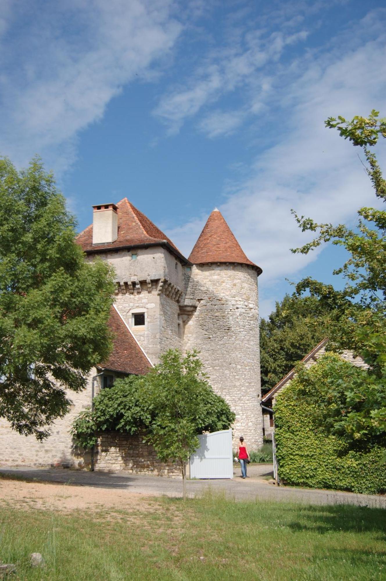 Chateau De Camboulan Bed and Breakfast Ambeyrac Exterior foto