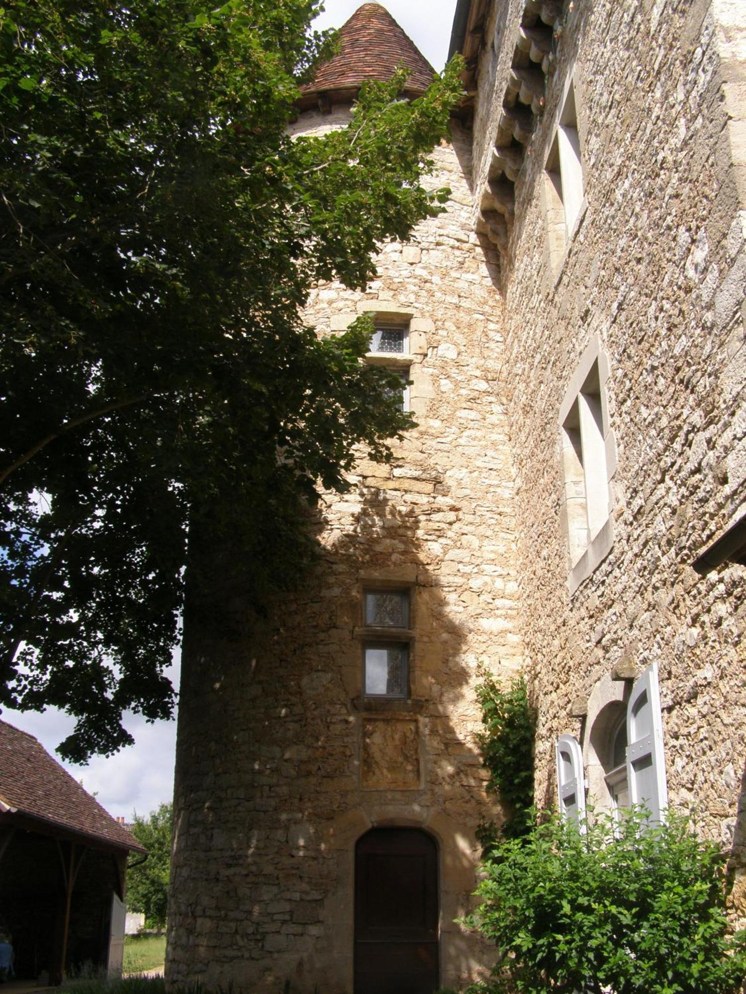 Chateau De Camboulan Ambeyrac Exterior foto